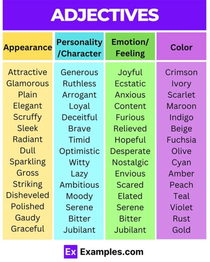 Can dubious be used as an adjective?
