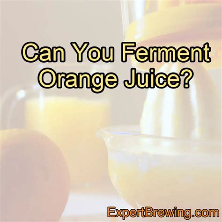 Can you ferment orange juice?