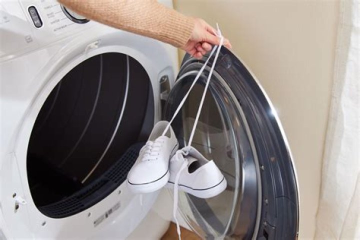 Can you put shoes in the dryer?