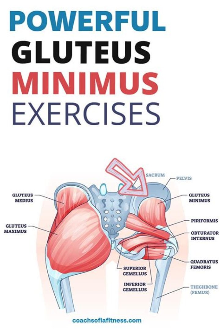 Can you strengthen gluteus minimus?