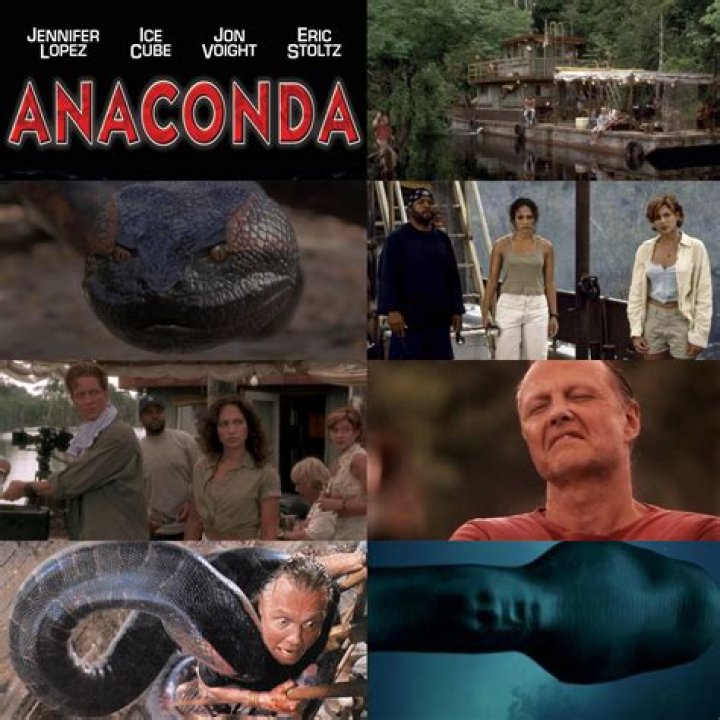 Did anaconda go number 1?