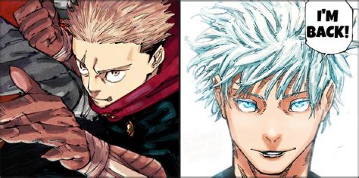 Did reborn manga end?