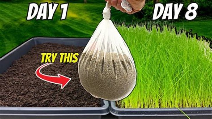 Do i need loam to grow grass?