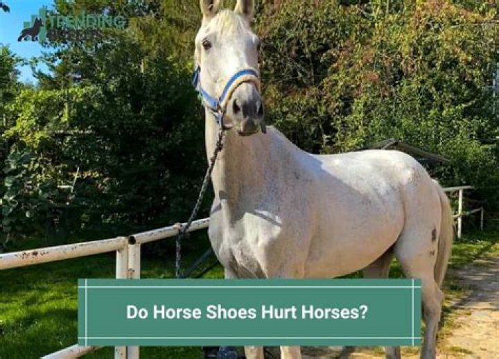 Do pointy shoes hurt?