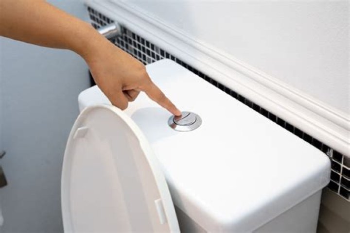 Do toilets flush counterclockwise in australia?