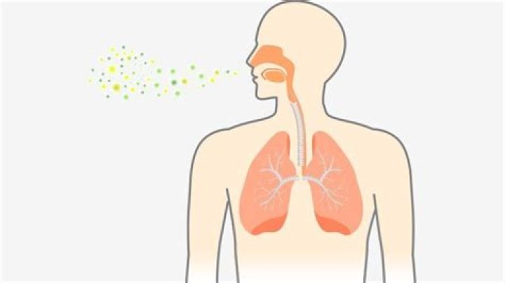 Does breathing cold air cause pneumonia?