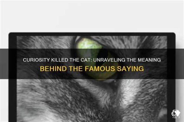 Does curiosity kill the cat?