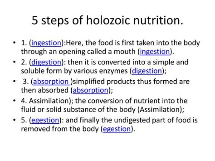 Does plasmodium have holozoic mode of nutrition?