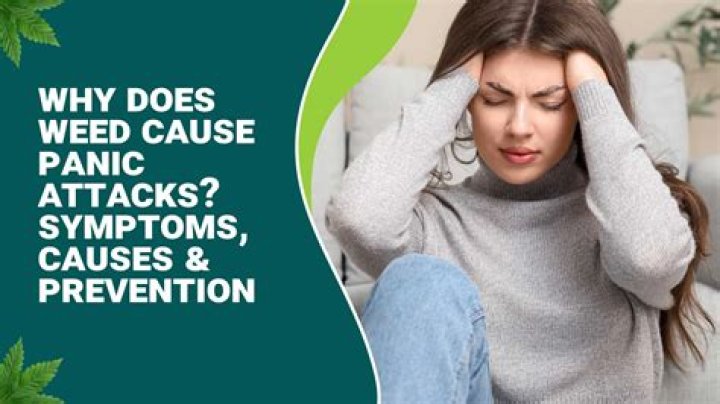 Does weed cause seizures?