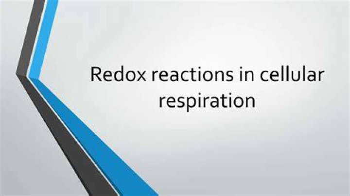 During redox reactions cellular respiration?