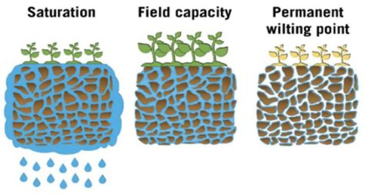 How does water affect soil?