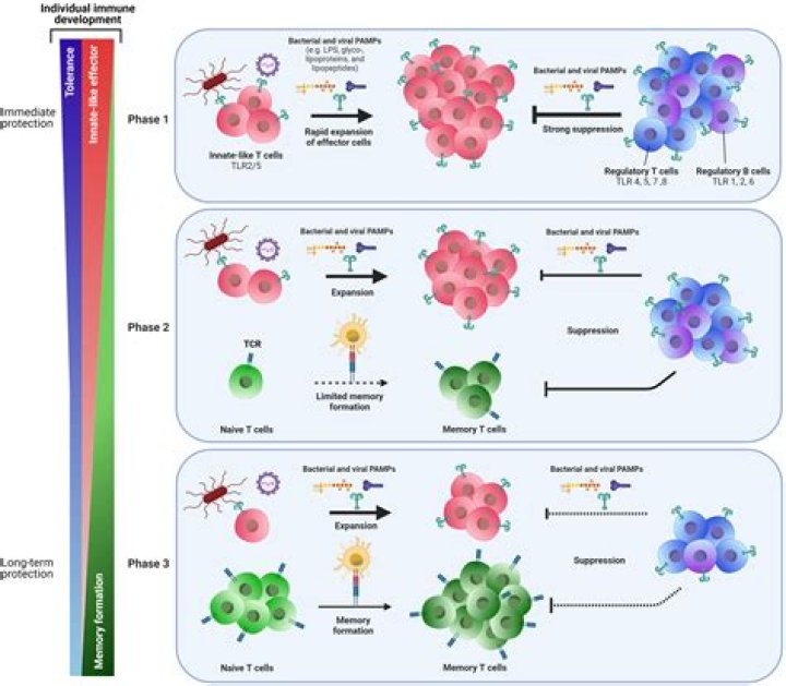 How much immunology on step 1?