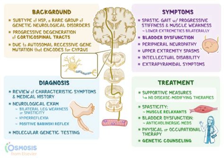 How to test for spastic paraparesis?