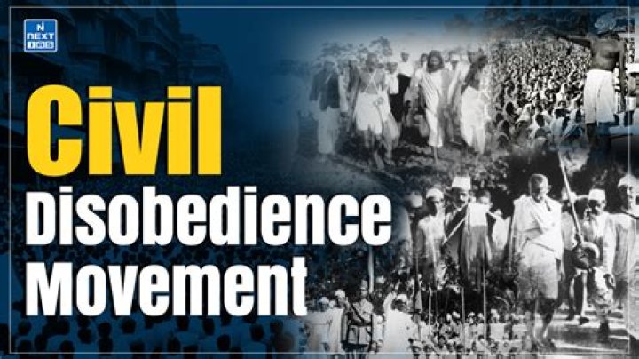 In india the non aligned movement was led by?