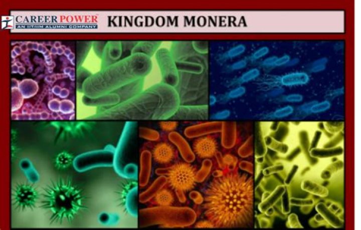 In protists and monerans asexual reproduction generally occurs through?
