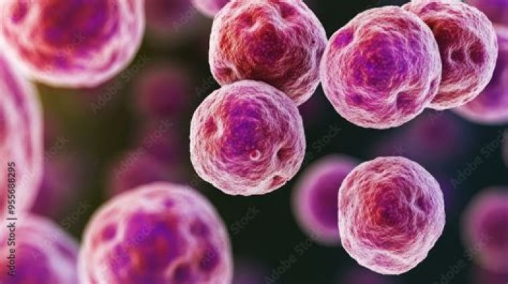 Is chlamydia a virus or bacteria?