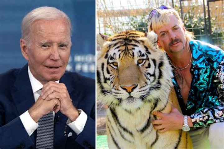 On tiger king what is a prince albert?