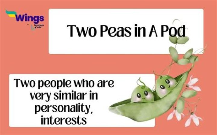 Were two peas in a pod meaning?