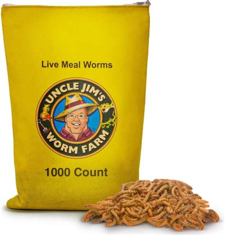 What's mealworms used for?