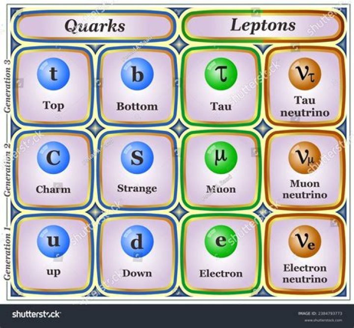What are leptons and quarks?