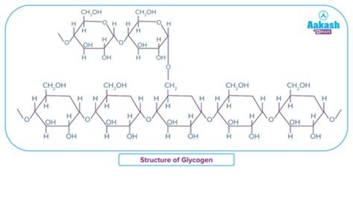 What are the benefits of glycogen's branched structure?