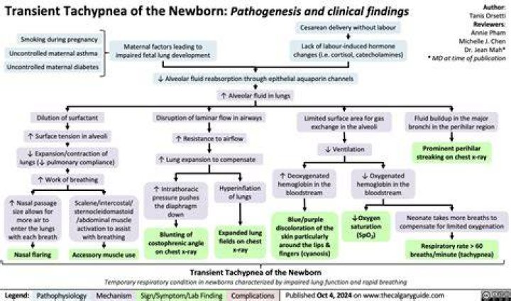 What causes tachypnea in newborns?