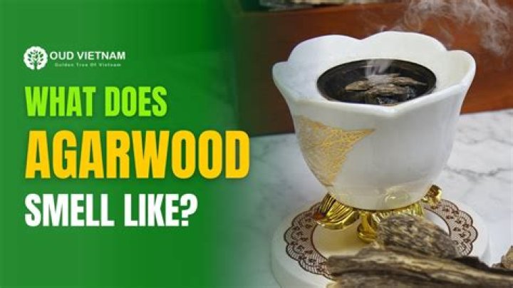 What does agarwood oil smell like?