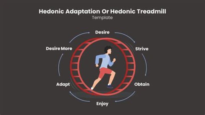 What does hedonic mean?