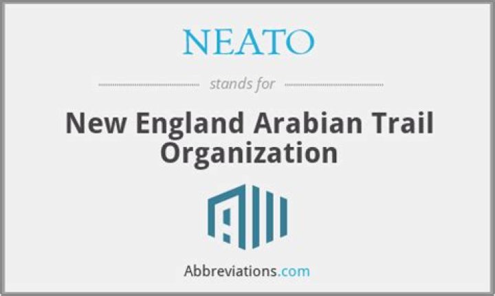What does neato stand for?