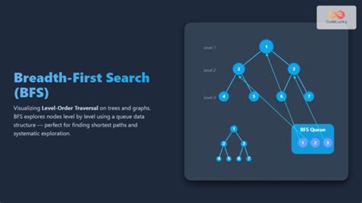 What is bfs algorithm?
