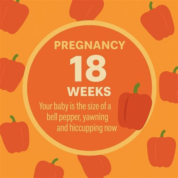 What is hiccupping in pregnancy?