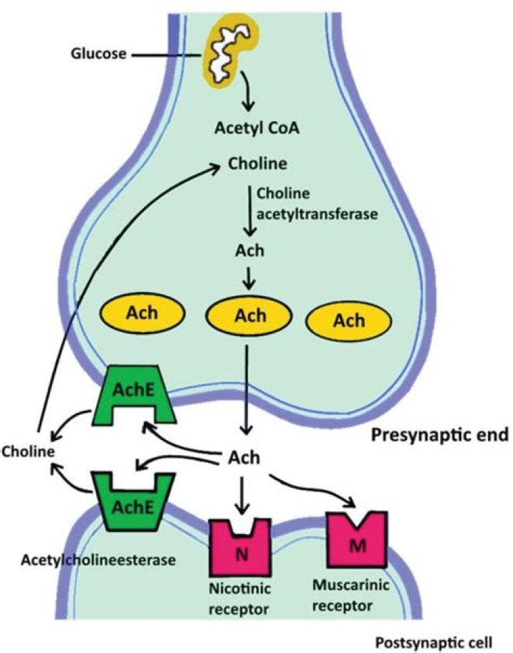 What is irreversible anticholinesterase?