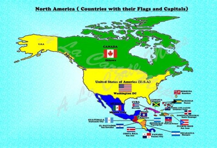 What is snoek called in america?