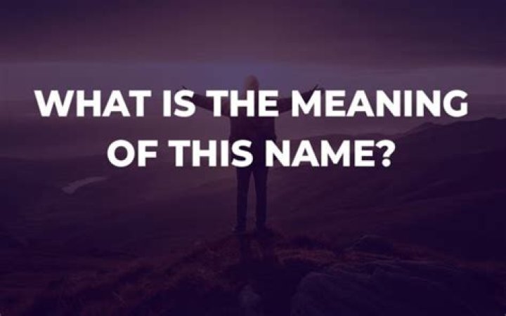 What is the meaning of navis?