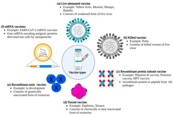 What viruses have vaccines?