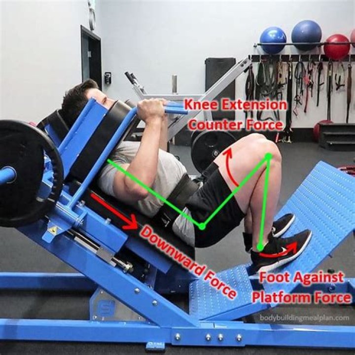 Whats a sissy squat?