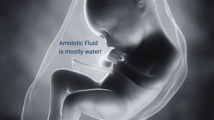 Whats the colour of amniotic fluid?