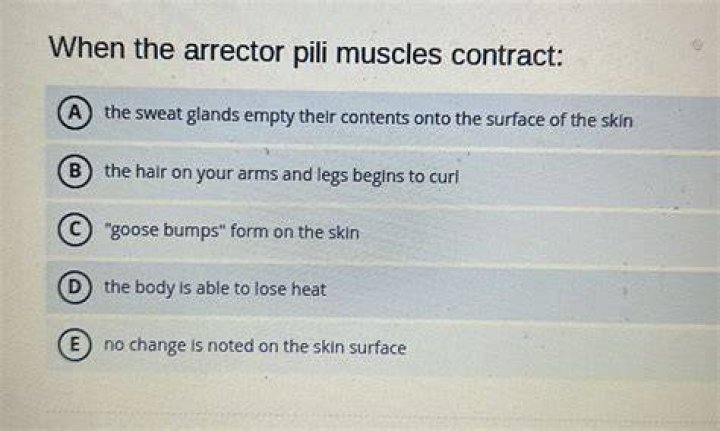 When arrector pili muscles contract?