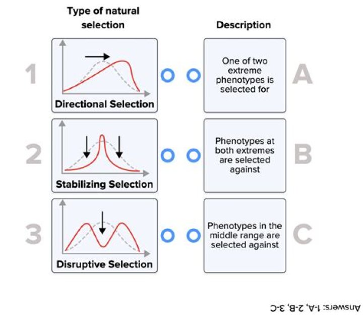 When selection is weak?