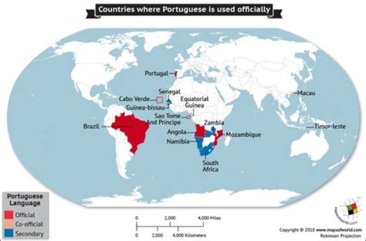 Where did portuguese come from?