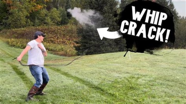 Where did the expression crack the whip come from?