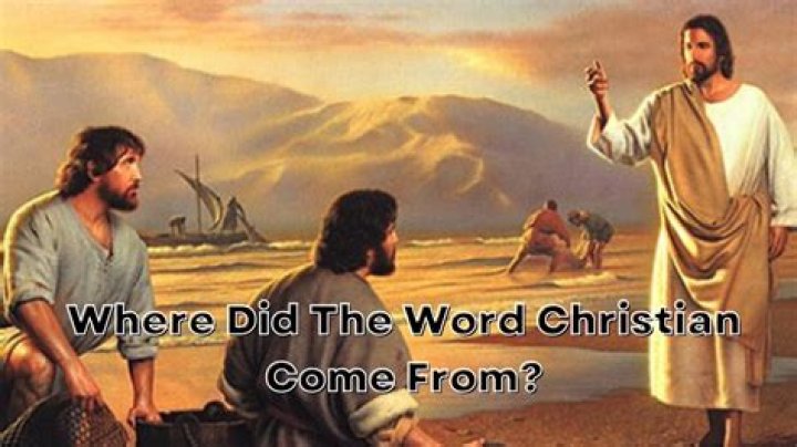 Where did the word conciliate come from?