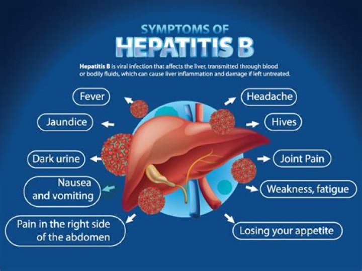 Where do you get hepatitis b?
