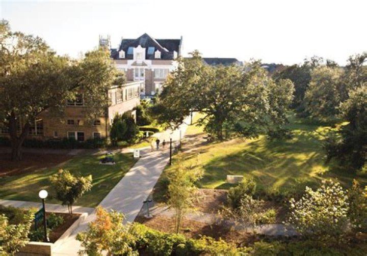 Where is tulane university located?