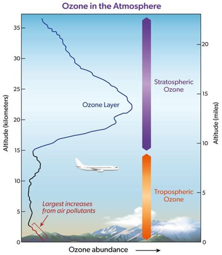 Where ozone is present?
