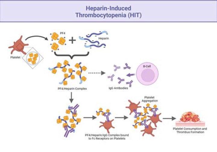 Which adverse reaction is associated with heparin?