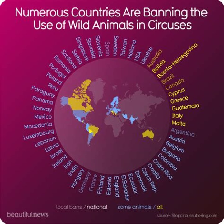 Which countries still use animals in circuses?