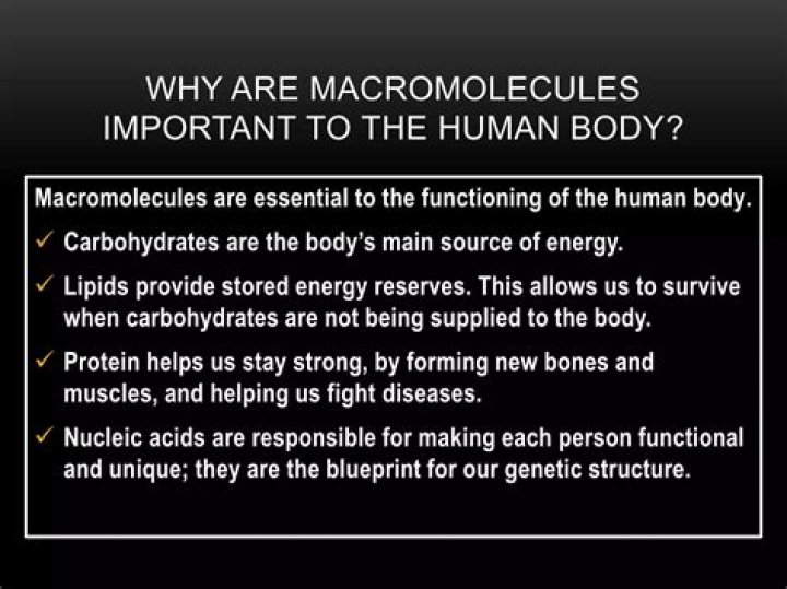 Why are macromolecules important to life?
