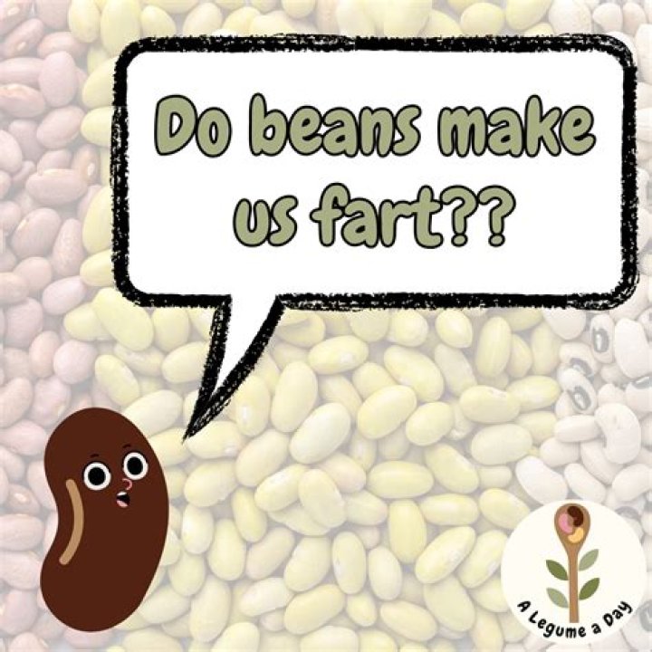 Why beans makes you fart?