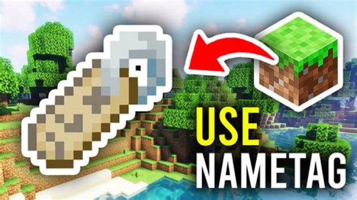 Why can't i use a nametag in minecraft?